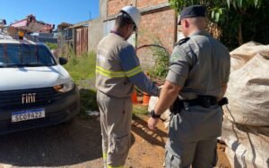 Operação para coibir furto de cabos de cobre é realizada em Goiás — Foto: Divulgação/Equatorial