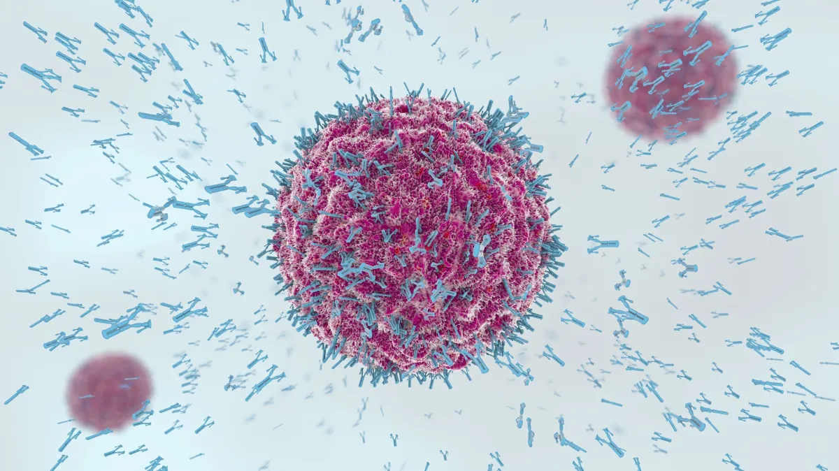 O sistema imunológico é conhecido pela sua ação na defesa contra microrganismos como vírus e bactérias, mas seu papel no corpo humano vai além disso • CHRISTOPH BURGSTEDT/SCIENCE PHOTO LIBRARY/GettyImages