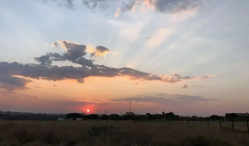 Primavera começa em 22 de setembro, às 15h19, e vai até 21 de dezembro, quando inicia o verão • José Cruz/Agência Brasil