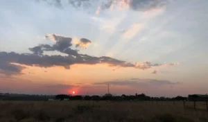 Primavera começa em 22 de setembro, às 15h19, e vai até 21 de dezembro, quando inicia o verão • José Cruz/Agência Brasil