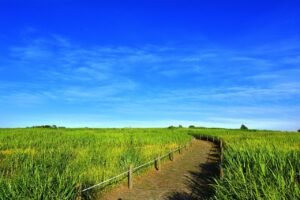 O dia será de tempo aberto, com céu claro e poucas nuvens. Foto: iStockphoto