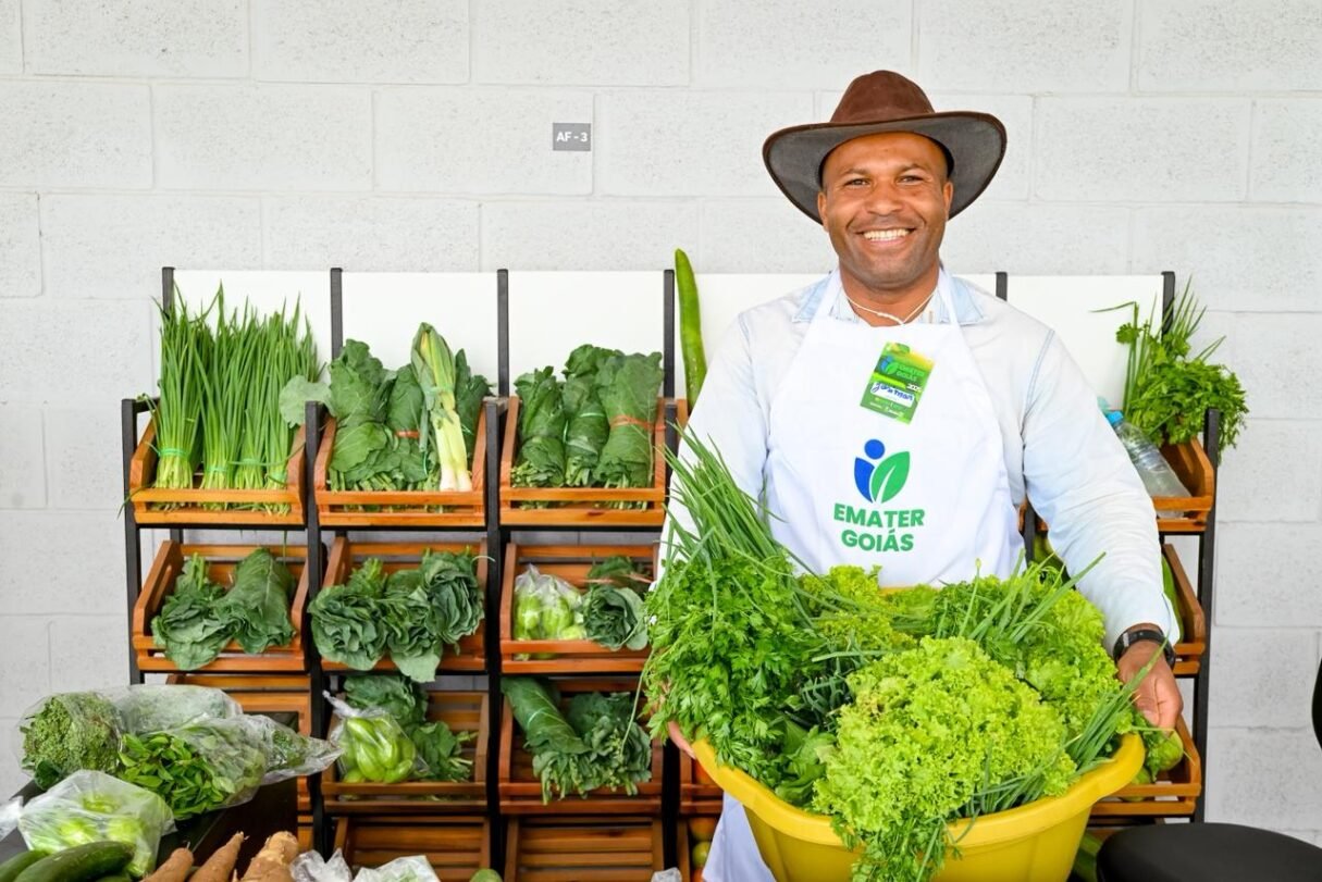 Entregue pelo Governo de Goiás nesta sexta-feira, Mercadão de Águas Lindas recebe elogios de comerciantes e clientes (Foto: Rômullo Carvalho e André Saddi)
