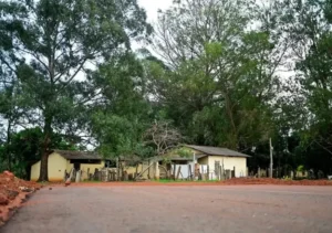 Kebec Nogueira/Metrópoles @kebecfotografo